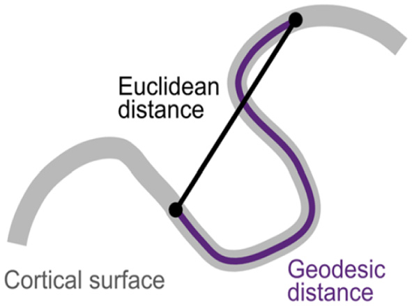 Euclidean vs. Geodesic distance